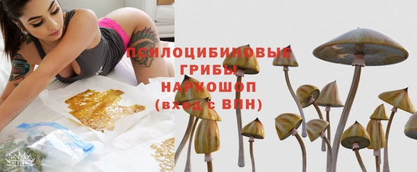 прущие грибы Кулебаки