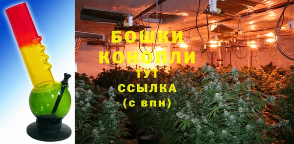 прущие грибы Кулебаки