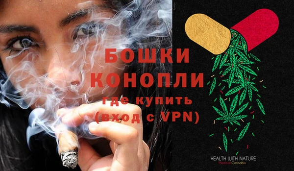 прущие грибы Кулебаки