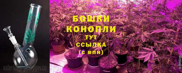 PSILOCYBIN Куйбышев
