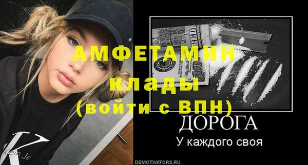 прущие грибы Кулебаки