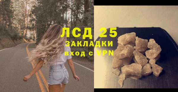 прущие грибы Кулебаки