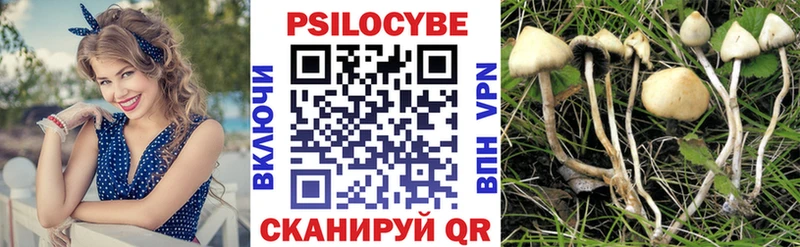 Галлюциногенные грибы мицелий  Купить где  Куса 